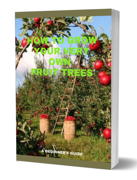 How To Grow Your Own Fruit Trees