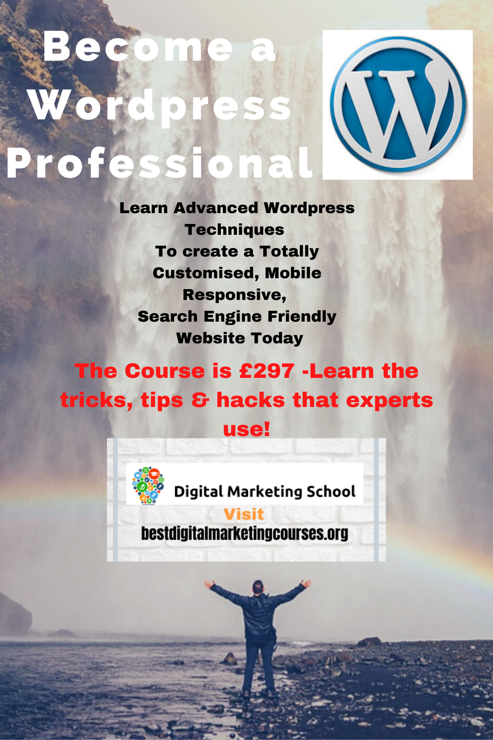 What Everybody Should Know About WordPress & Getting Professional With it!