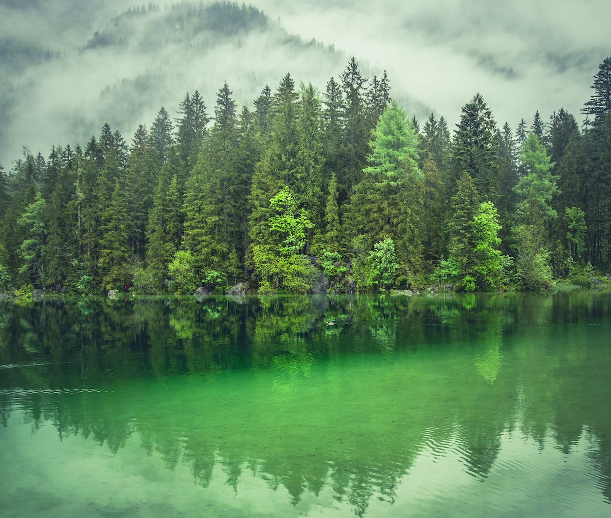 The Website Is No Longer the Marketing Hub: How AI Is Reshaping Customer Journeys